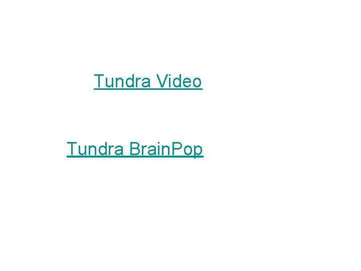 Tundra Video Tundra Brain. Pop 