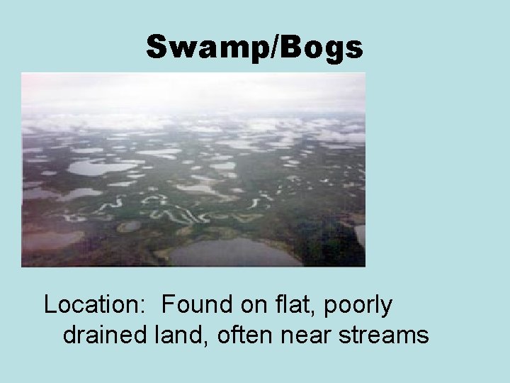 Swamp/Bogs Location: Found on flat, poorly drained land, often near streams 