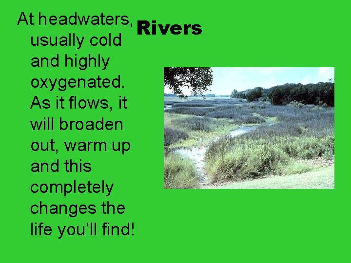 At headwaters, Rivers usually cold and highly oxygenated. As it flows, it will broaden