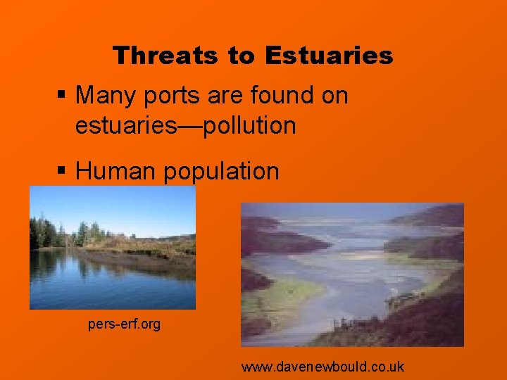 Threats to Estuaries § Many ports are found on estuaries—pollution § Human population pers-erf.