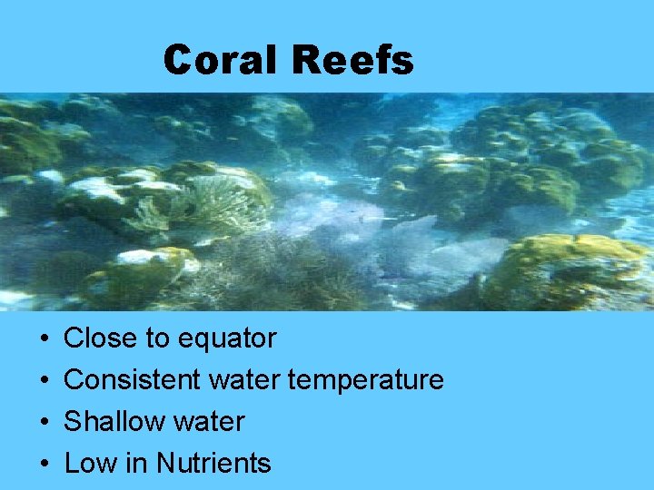 Coral Reefs • • Close to equator Consistent water temperature Shallow water Low in