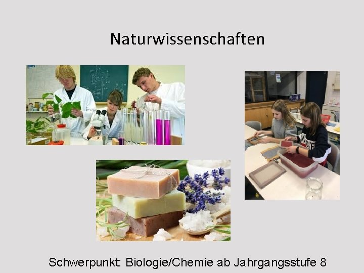 Naturwissenschaften Schwerpunkt: Biologie/Chemie ab Jahrgangsstufe 8 