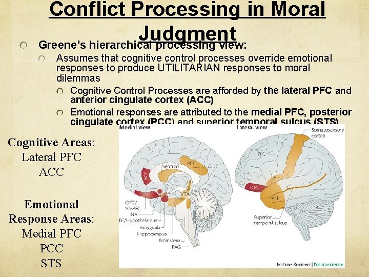 Human Morality The neural basis of human moral