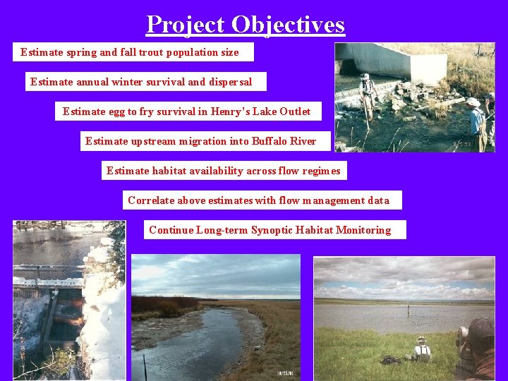 Project Objectives Estimate spring and fall trout population size Estimate annual winter survival and