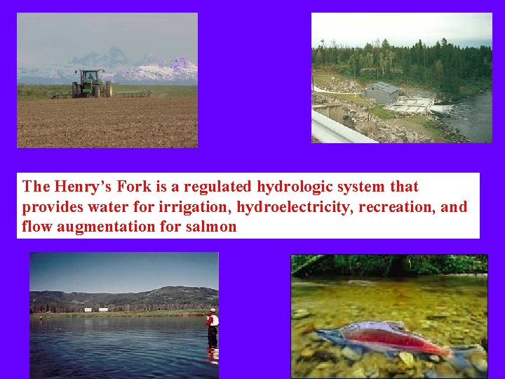 The Henry’s Fork is a regulated hydrologic system that provides water for irrigation, hydroelectricity,