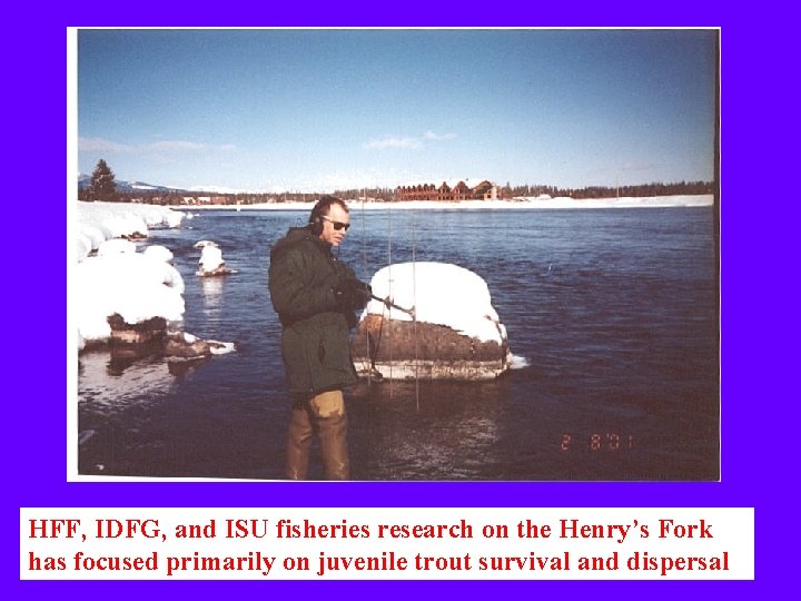 HFF, IDFG, and ISU fisheries research on the Henry’s Fork has focused primarily on