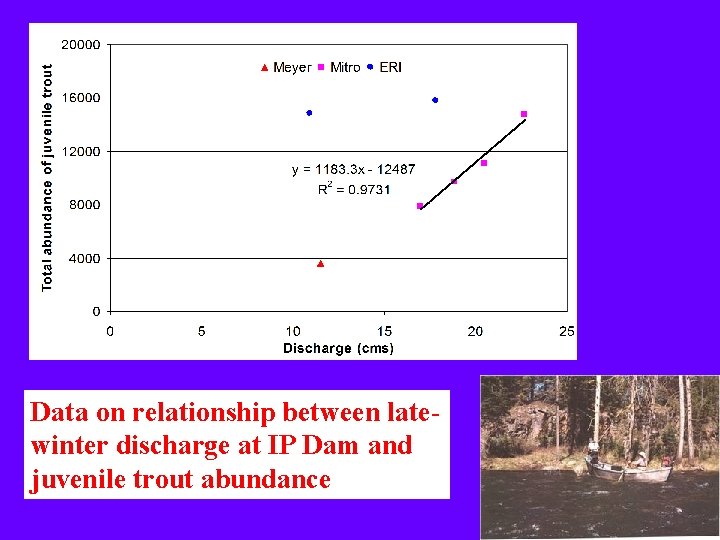 Data on relationship between latewinter discharge at IP Dam and juvenile trout abundance 