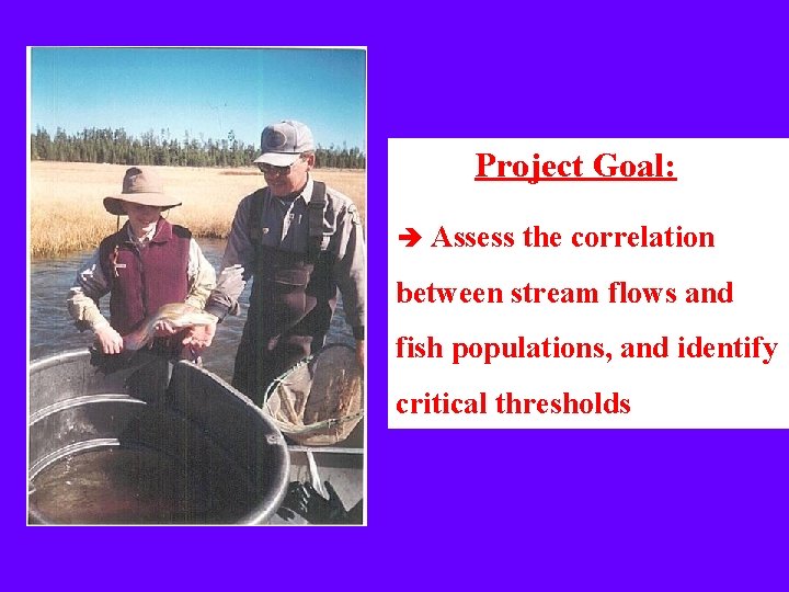 Project Goal: è Assess the correlation between stream flows and fish populations, and identify