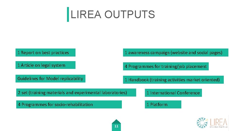 LIREA OUTPUTS 1 Report on best practices 1 awareness campaign (website and social pages)