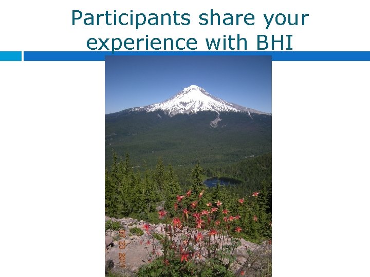 Participants share your experience with BHI Participants share your experience with BHI