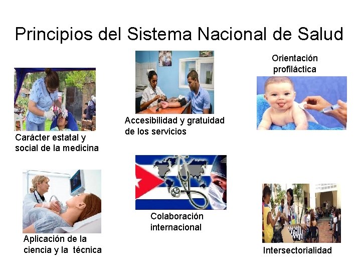 Principios del Sistema Nacional de Salud Orientación profiláctica Carácter estatal y social de la