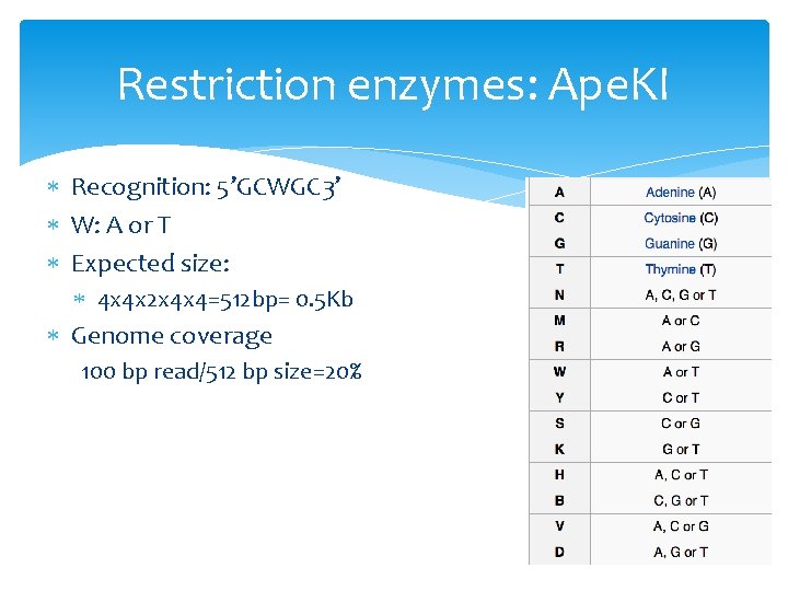 Restriction enzymes: Ape. KI Recognition: 5’GCWGC 3’ W: A or T Expected size: 4