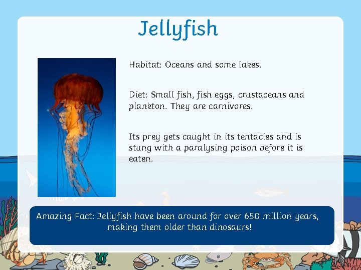 Jellyfish Habitat: Oceans and some lakes. Diet: Small fish, fish eggs, crustaceans and plankton.