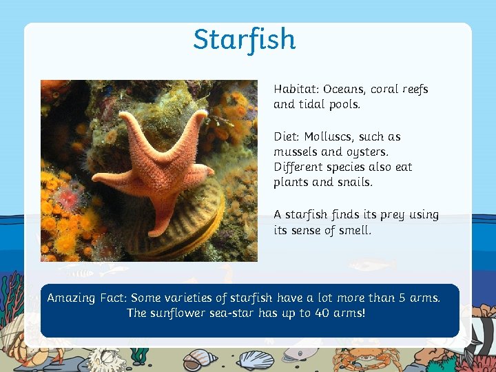 Starfish Habitat: Oceans, coral reefs and tidal pools. Diet: Molluscs, such as mussels and