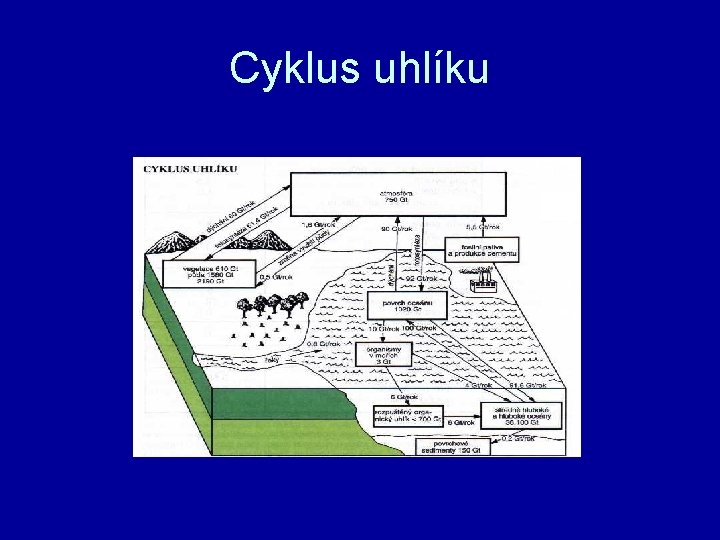 Cyklus uhlíku 