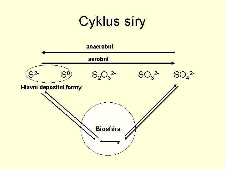 Cyklus síry anaerobní S 2 - S 0 S 2 O 32 - Hlavní