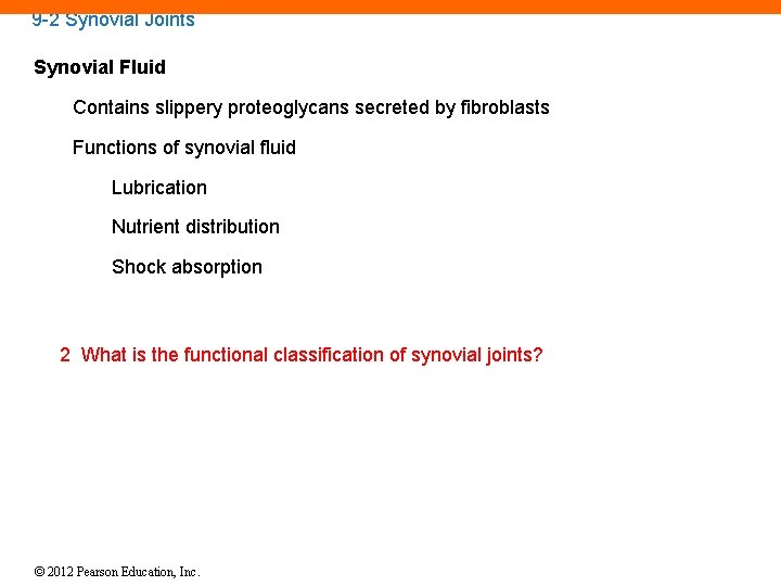 9 -2 Synovial Joints Synovial Fluid Contains slippery proteoglycans secreted by fibroblasts Functions of