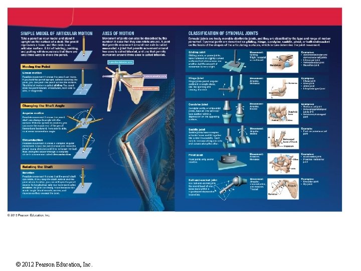 © 2012 Pearson Education, Inc. 