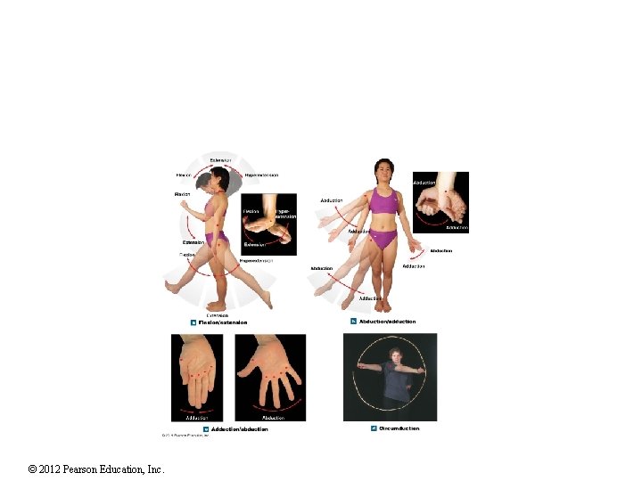 © 2012 Pearson Education, Inc. 