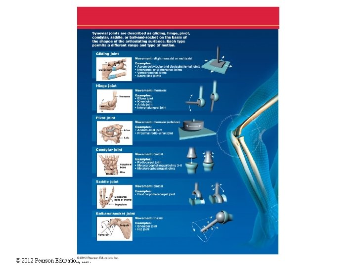 © 2012 Pearson Education, Inc. 