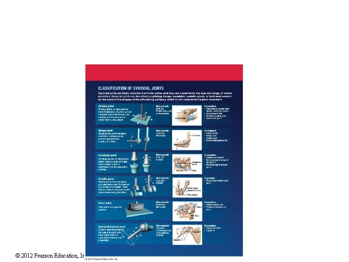 © 2012 Pearson Education, Inc. 