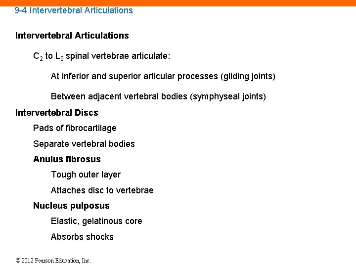 9 -4 Intervertebral Articulations C 2 to L 5 spinal vertebrae articulate: At inferior