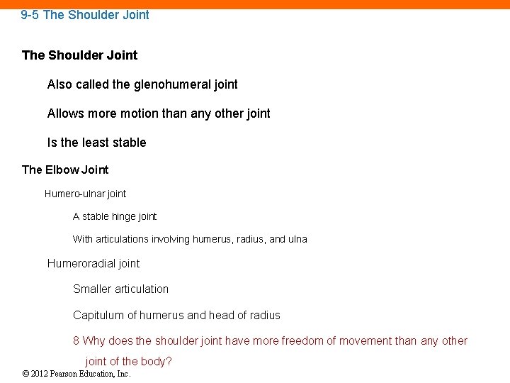 9 -5 The Shoulder Joint Also called the glenohumeral joint Allows more motion than