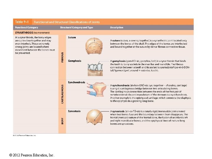 © 2012 Pearson Education, Inc. 