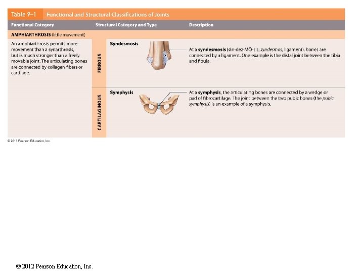 © 2012 Pearson Education, Inc. 