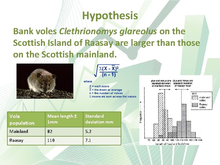 Hypothesis Bank voles Clethrionomys glareolus on the Scottish Island of Raasay are larger than