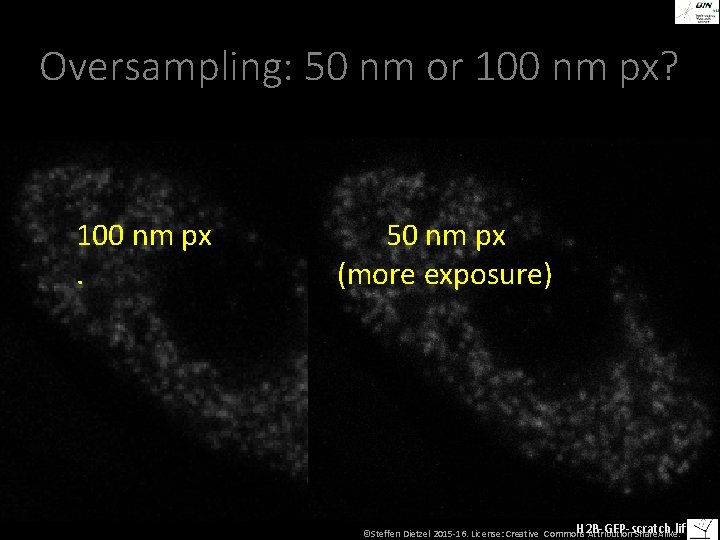 Oversampling: 50 nm or 100 nm px? 100 nm px. 50 nm px (more