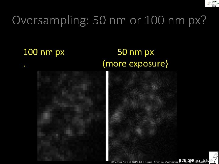 Oversampling: 50 nm or 100 nm px? 100 nm px. 50 nm px (more