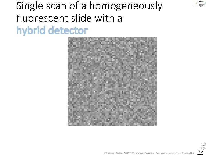Single scan of a homogeneously fluorescent slide with a hybrid detector ©Steffen Dietzel 2015