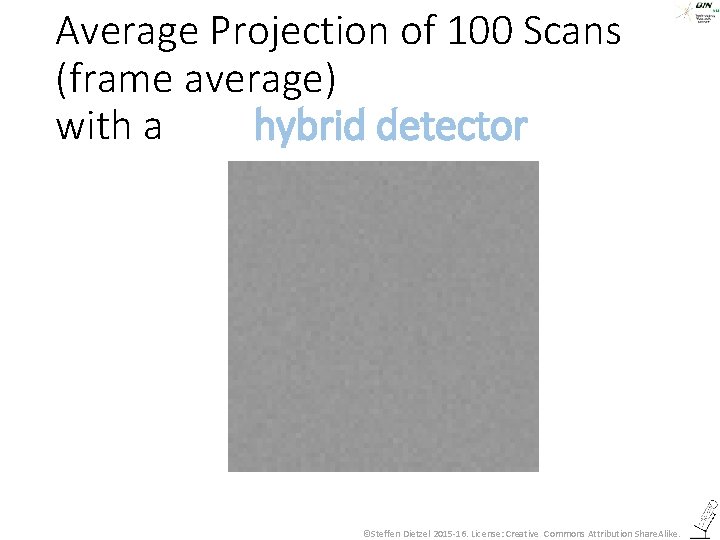 Average Projection of 100 Scans (frame average) with a hybrid detector ©Steffen Dietzel 2015