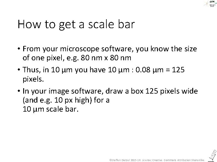 How to get a scale bar • From your microscope software, you know the