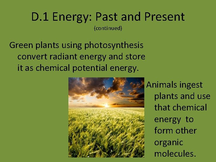 D. 1 Energy: Past and Present (continued) Green plants using photosynthesis convert radiant energy