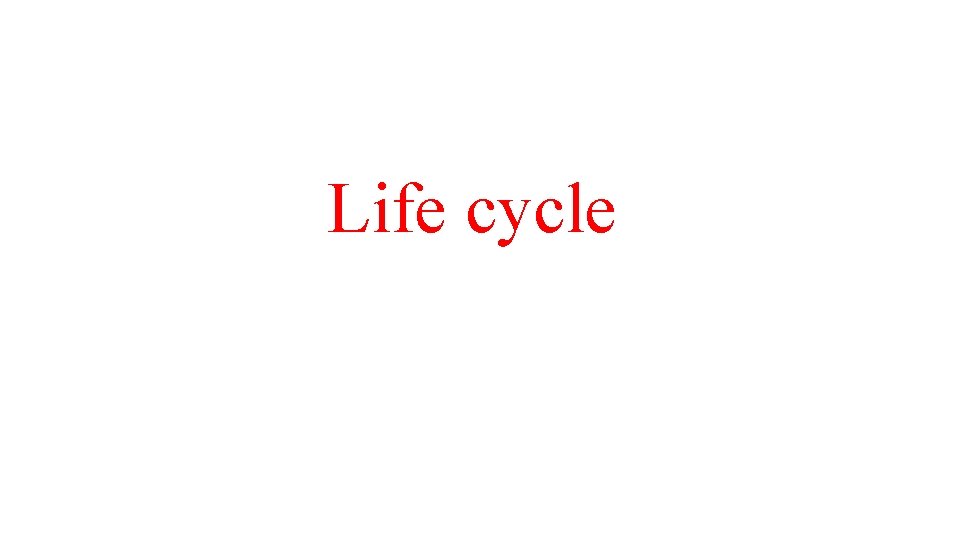 Life cycle Life cycle