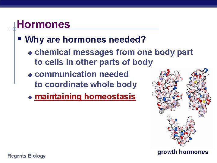 Hormones § Why are hormones needed? chemical messages from one body part to cells