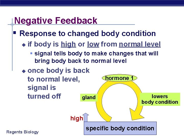 Negative Feedback § Response to changed body condition u if body is high or