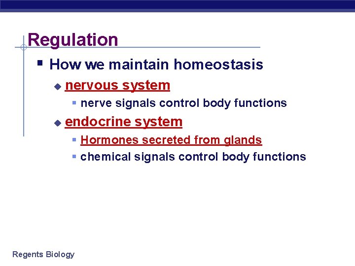 Regulation § How we maintain homeostasis u nervous system § nerve signals control body