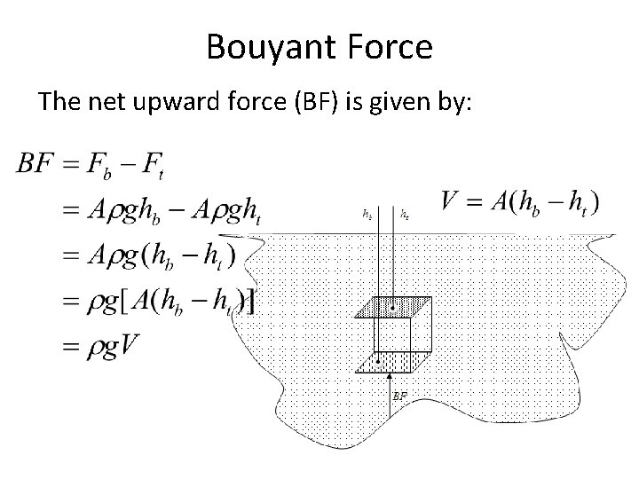 Bouyant Force The net upward force (BF) is given by: 