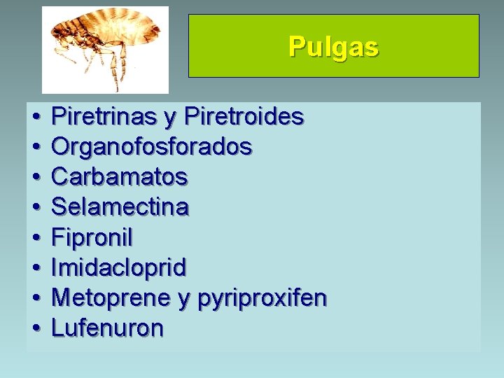 Pulgas • • Piretrinas y Piretroides Organofosforados Carbamatos Selamectina Fipronil Imidacloprid Metoprene y pyriproxifen