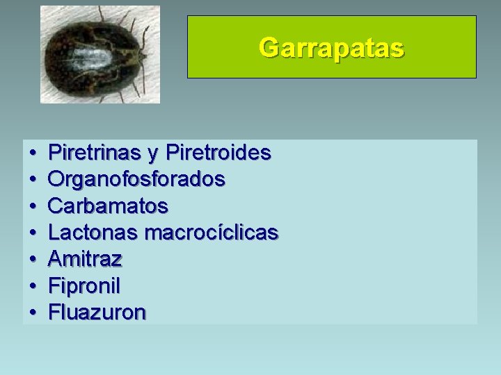 Garrapatas • • Piretrinas y Piretroides Organofosforados Carbamatos Lactonas macrocíclicas Amitraz Fipronil Fluazuron 