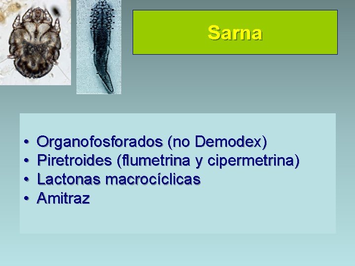 Sarna • • Organofosforados (no Demodex) Piretroides (flumetrina y cipermetrina) Lactonas macrocíclicas Amitraz 
