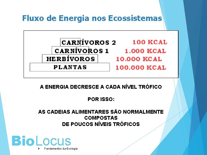 Fluxo de Energia nos Ecossistemas A ENERGIA DECRESCE A CADA NÍVEL TRÓFICO POR ISSO: