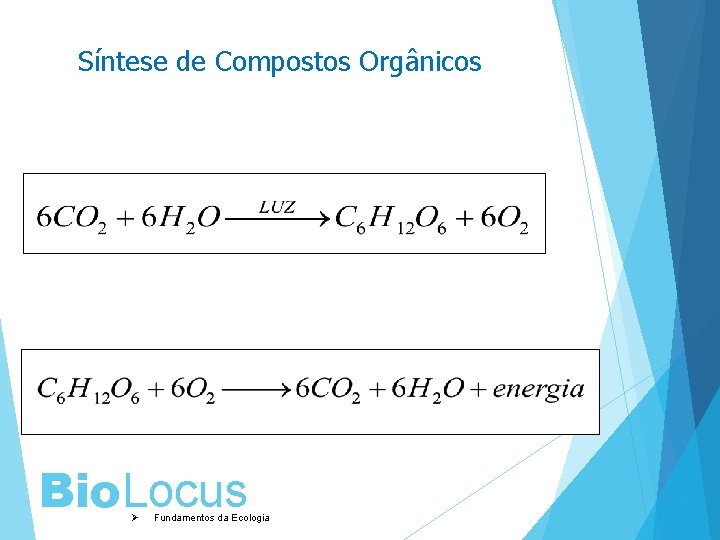 Síntese de Compostos Orgânicos Fotossíntese Respiração Bio. Locus Ø Fundamentos da Ecologia 