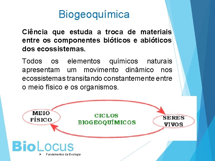 Biogeoquímica Ciência que estuda a troca de materiais entre os componentes bióticos e abióticos