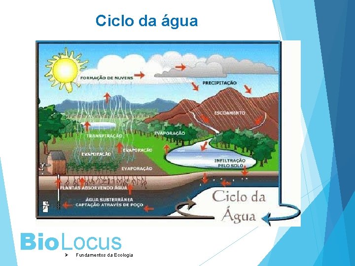 Ciclo da água Bio. Locus Ø Fundamentos da Ecologia 