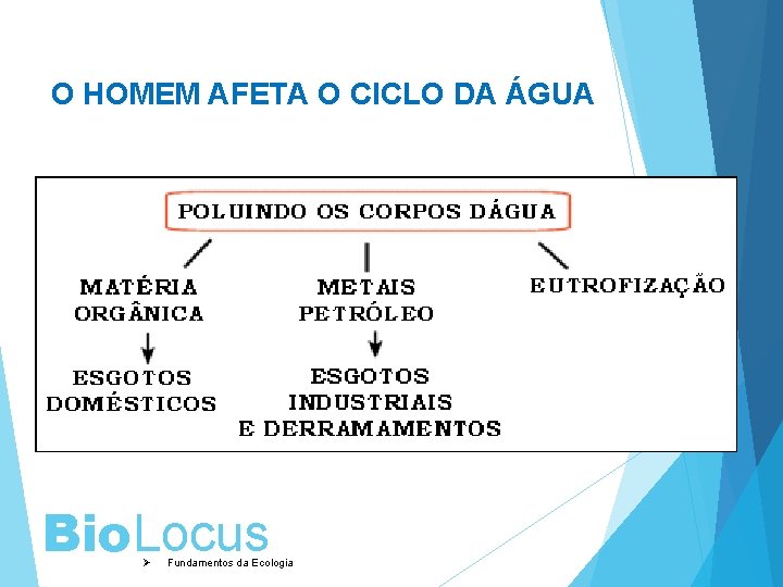 O HOMEM AFETA O CICLO DA ÁGUA Bio. Locus Ø Fundamentos da Ecologia 