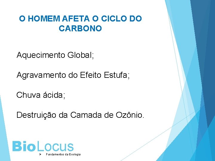 O HOMEM AFETA O CICLO DO CARBONO Aquecimento Global; Agravamento do Efeito Estufa; Chuva